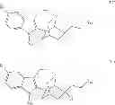 Fig. 13 - Substituted noribogaine