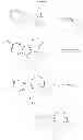 Fig. 25 - Substituted noribogaine