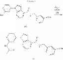 Fig. 80 - Rho kinase inhibitors and methods of use