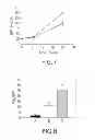 Fig. 05 - METHODS FOR TREATING VASCULAR LEAK SYNDROME