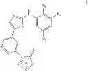 Fig. 05 - Selective protein kinase inhibitors