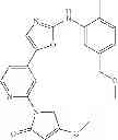 Fig. 09 - Selective protein kinase inhibitors