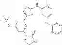 Fig. 101 - Selective protein kinase inhibitors