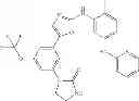 Fig. 102 - Selective protein kinase inhibitors