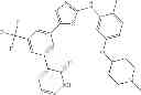 Fig. 113 - Selective protein kinase inhibitors