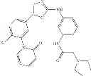 Fig. 161 - Selective protein kinase inhibitors