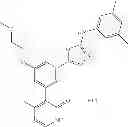 Fig. 205 - Selective protein kinase inhibitors