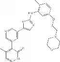 Fig. 216 - Selective protein kinase inhibitors