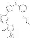 Fig. 22 - Selective protein kinase inhibitors