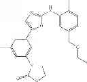 Fig. 41 - Selective protein kinase inhibitors