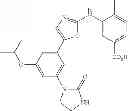 Fig. 85 - Selective protein kinase inhibitors