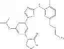 Fig. 90 - Selective protein kinase inhibitors