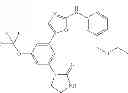 Fig. 97 - Selective protein kinase inhibitors