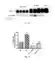 Fig. 03 - Methods of treating hemoglobinopathies