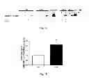Fig. 04 - Methods of treating hemoglobinopathies