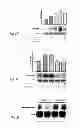 Fig. 06 - Methods of treating hemoglobinopathies
