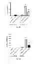 Fig. 09 - Methods of treating hemoglobinopathies