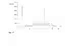 Fig. 04 - 6-{2 -[1-(6-methyl-3-pyridazinyl)-4-piperidinyl]ethoxy}-3-ethoxy-1,2-benzisoxazole bis-dihydrogenphosphate salt (1:2)
