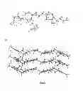 Fig. 08 - 6-{2 -[1-(6-methyl-3-pyridazinyl)-4-piperidinyl]ethoxy}-3-ethoxy-1,2-benzisoxazole bis-dihydrogenphosphate salt (1:2)