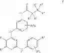 Fig. 12 - Heteroaryl compounds and uses thereof