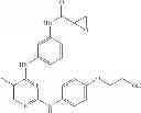 Fig. 41 - Heteroaryl compounds and uses thereof