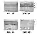 Fig. 02 - USE OF CHELATORS OF DIVALENT CATIONS TO PROMOTE NERVE REGENERATION