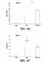 Fig. 06 - USE OF CHELATORS OF DIVALENT CATIONS TO PROMOTE NERVE REGENERATION