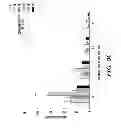 Fig. 10 - USE OF CHELATORS OF DIVALENT CATIONS TO PROMOTE NERVE REGENERATION