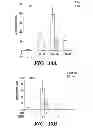 Fig. 19 - USE OF CHELATORS OF DIVALENT CATIONS TO PROMOTE NERVE REGENERATION