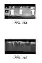 Fig. 23 - USE OF CHELATORS OF DIVALENT CATIONS TO PROMOTE NERVE REGENERATION