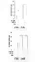 Fig. 24 - USE OF CHELATORS OF DIVALENT CATIONS TO PROMOTE NERVE REGENERATION