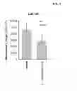 Fig. 05 - TOPICAL OPHTHALMOLOGICAL PHARMACEUTICAL COMPOSITION CONTAINING REGORAFENIB