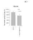 Fig. 06 - TOPICAL OPHTHALMOLOGICAL PHARMACEUTICAL COMPOSITION CONTAINING REGORAFENIB