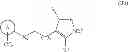 Fig. 09 - Compounds and compositions that bind and stabilize transthyretin and their use for inhibiting transthyretin amyloidosis and protein-protein interactions