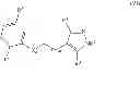 Fig. 15 - Compounds and compositions that bind and stabilize transthyretin and their use for inhibiting transthyretin amyloidosis and protein-protein interactions