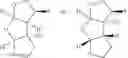 Fig. 12 - Fused tricyclic ether carbamates and their use