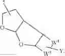 Fig. 58 - Fused tricyclic ether carbamates and their use