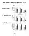 Fig. 02 - Use of VEGFR1 as a biomarker