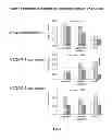 Fig. 04 - Use of VEGFR1 as a biomarker
