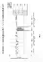 Fig. 06 - Use of VEGFR1 as a biomarker