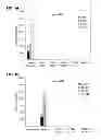 Fig. 02 - Modified siRNA molecules and uses thereof