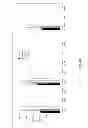 Fig. 05 - Modified siRNA molecules and uses thereof