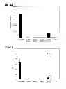 Fig. 07 - Modified siRNA molecules and uses thereof