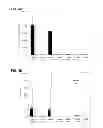 Fig. 08 - Modified siRNA molecules and uses thereof