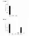 Fig. 09 - Modified siRNA molecules and uses thereof