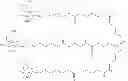 Fig. 124 - Targeting lipids