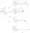Fig. 79 - Targeting lipids