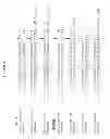 Fig. 04 - Phase changing formulations of nucleic acid payloads