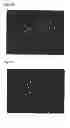 Fig. 07 - NEUROGENESIS SCREENING METHOD AND USES THEREOF