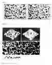 Fig. 02 - Skin Cleansing Cosmetic Composition Containing Vegetable Oils, Method For Producing Same And Use Thereof